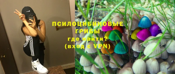 соль курить ск Алзамай