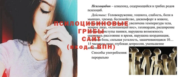 соль курить ск Алзамай
